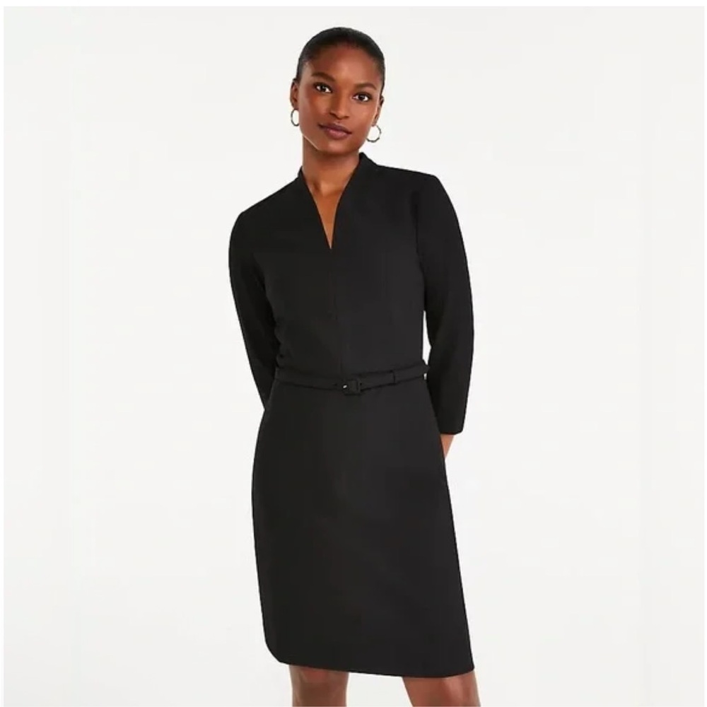 Ann Taylor V-Neck Belted Dress, Size 10P